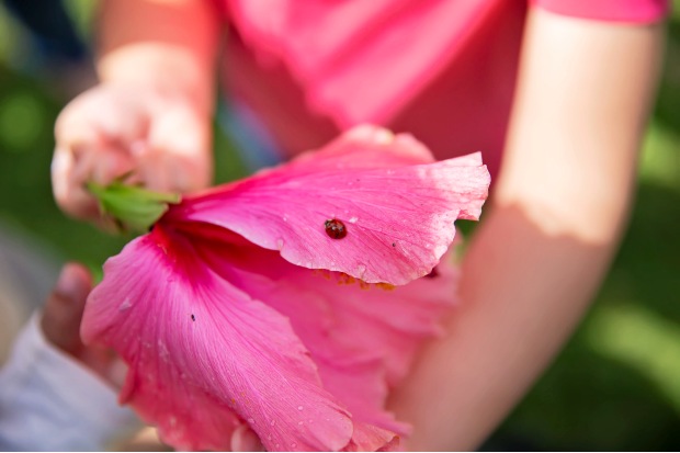 child-holding-flowers